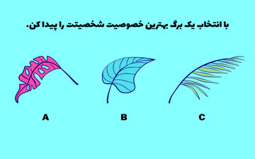 تست شخصیت؛ با انتخاب یک برگ بهترین خصوصیت خود را کشف کنید!
