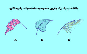 تست شخصیت؛ با انتخاب یک برگ بهترین خصوصیت خود را کشف کنید!
