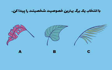 تست شخصیت؛ با انتخاب یک برگ بهترین خصوصیت خود را کشف کنید!
