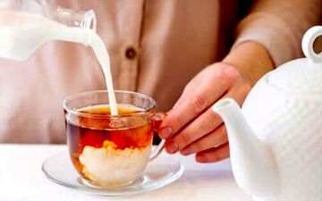 ریختن شیر داخل چای صحیح است یا غلط؟ | شیر چگونه روی چای اثر می‌گذارد؟