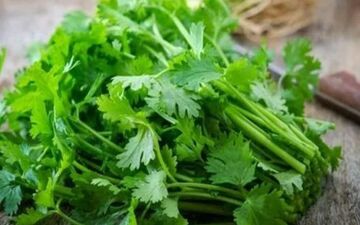 با این سبزی خوشمزه کم خونی تان را درمان کنید