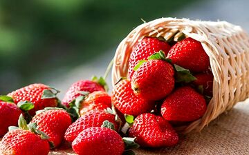 خواص شگفت انگیز توت فرنگی برای زنان باردار