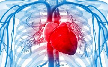 بزرگ شدن قلب| علائم  و عوارض بزرگ شدن قلب چیست؟