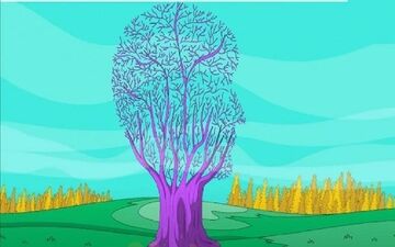 میخوای بدونی از زندگی راضی هستی یا خیر؟ بگو تو عکس چی دیدی تا بهت بگم!