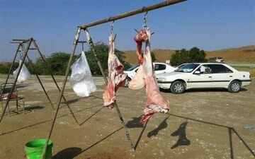 آغاز  طرح مقابله با کشتار غیرمجاز دام در کرمانشاه     