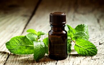 معجزات استفاده از روغن نعنا