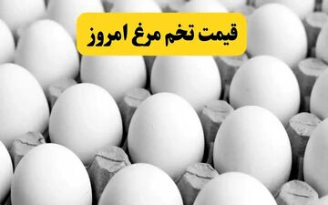 گرانی تخم‌مرغ؛ دانه‌ای ۸ هزار تومان | آینده قیمت‌ها چه می‌شود؟
