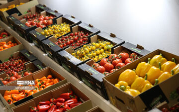 صادرات ۵۰ میلیون دلاری میوه‌های خوراکی و غلات از آذربایجان‌شرقی