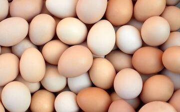 تخم‌مرغ این خوردنی شگفت‌ انگیز را دست کم نگیرید