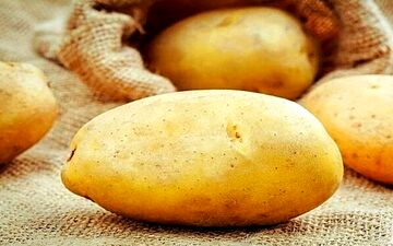 اگر سیب زمینی این بو را می دهید نخورید