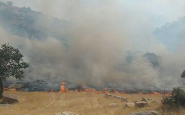 آتش سوزی این بار در ارتفاعات سرکش گیلانغرب