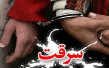 دستگیری ۶ سارق در اجرای طرح پیشگیری از سرقت