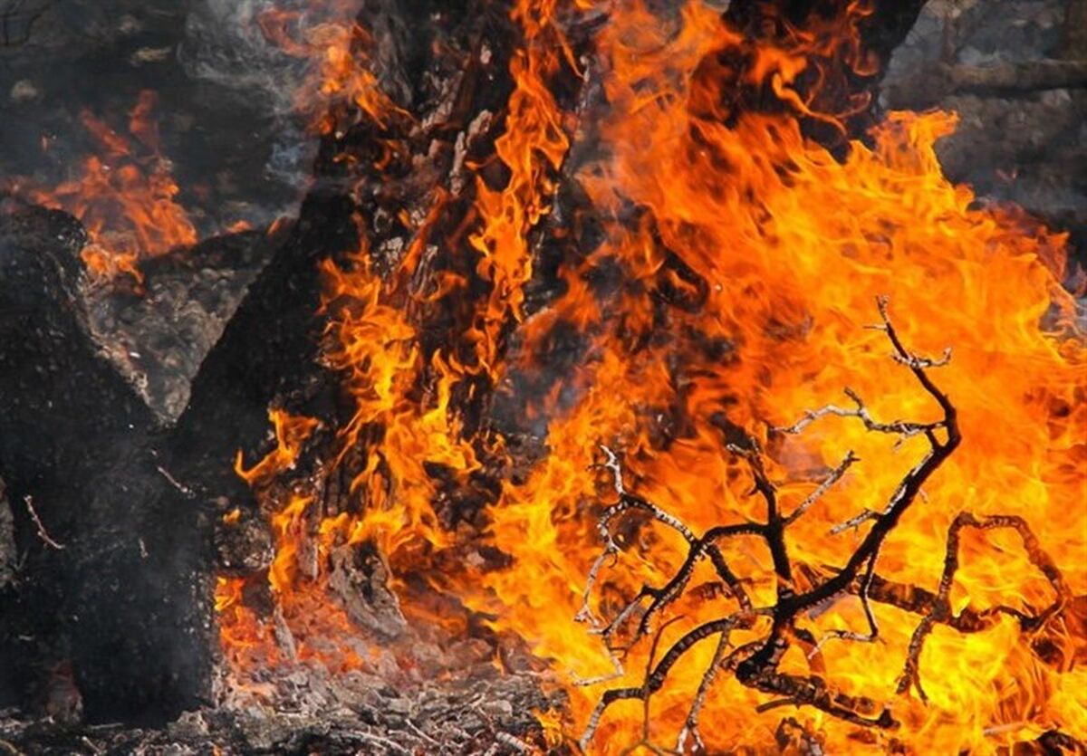 مهار کامل آتش‌سوزی جنگل ابر شاهرود