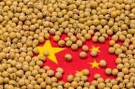 چین به دنبال بازطراحی زنجیره غلات و تقویت امنیت غذایی