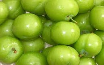 گوجه سبز، کیلویی ۱۰۰ هزار تومان!