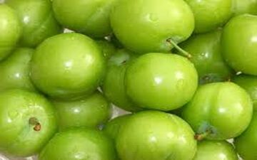 گوجه سبز، کیلویی ۱۰۰ هزار تومان!