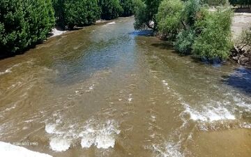 حادثه شبانه نزدیک پل خواجو/ جوان ۱۸ ساله در زاینده‌رود غرق شد 