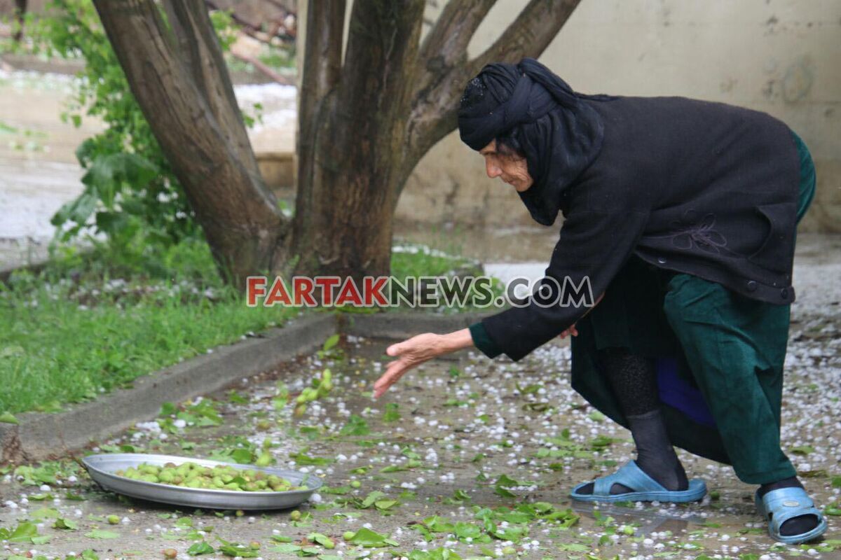 تگرگ در گهواره