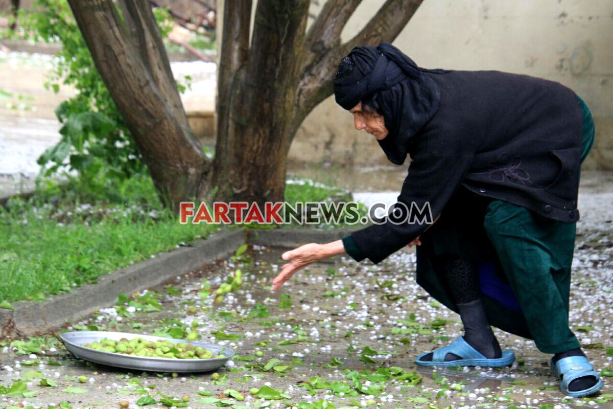 تگرگ در گهواره