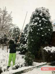 برف در تهران
