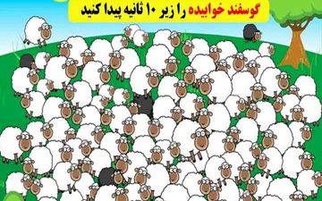 اگه زیر ده ثانیه بره خوابیده رو پیدا کنی یه نابغه ای! | تست هوش