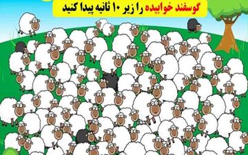 اگه زیر ده ثانیه بره خوابیده رو پیدا کنی یه نابغه ای! | تست هوش