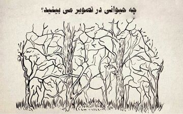 چه حیوانی را اول می‌بینی؟ بگوتا زوایای شخصیتی خودت را بهت بگم!