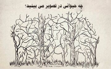 بگو در تصویر چه حیوانی را اول می‌بینی تا زوایای شخصیتی خودت را بهت بگم!