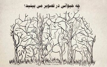 در تصویر چه حیوانی را اول می‌بینی؟ بگو تا زوایای شخصیتی خودت را بهت بگم!