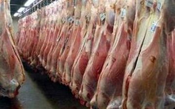 افزایش ۴۳درصدی عرضه گوشت قرمز در بازار 