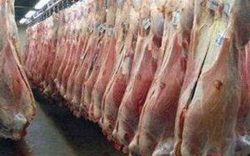 افزایش ۴۳درصدی عرضه گوشت قرمز در بازار 