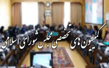 ترکیب جدید 9 کمیسیون‌ مجلس را بشناسید+ جدول