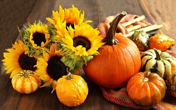 ۷ گزینه غذایی سالم برای افزایش پلاکت های خون