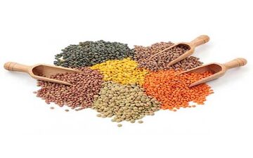  با خوردن این مواد غذایی شاد می شوید!