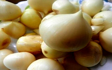  ۶ خاصیت فوق العاده موسیر 