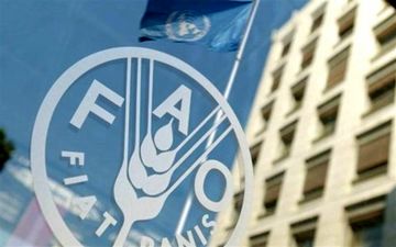 فائو درباره آفت سرخرطومی حنایی خرما در ایران هشدار داد