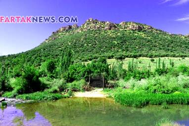 محسن عباسی‌فرد- ایرج الیاسی دالاهو