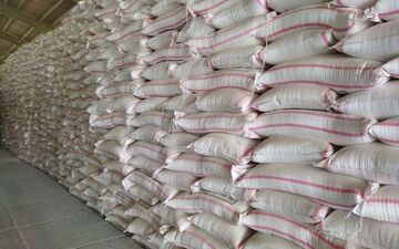 توزیع بیش از ۲۵ هزار تن کود بین کشاورزان