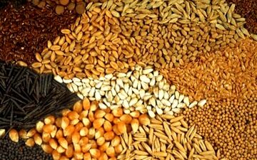 نرخ جدید نهاده‌های دامی و محصولات کشاورزی + جدول