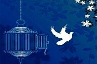 دومین محکوم به قصاص در کردستان رهایی یافت 