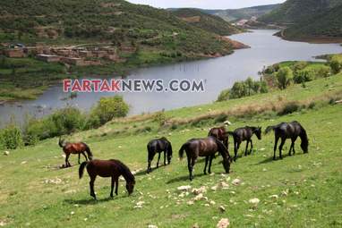 محسن عباسی‌فرد- ایرج الیاسی دالاهو