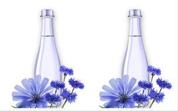 خواص عرق کاسنی برای اسپرم مردان + طریقه مصرف برای تقویت اسپرم