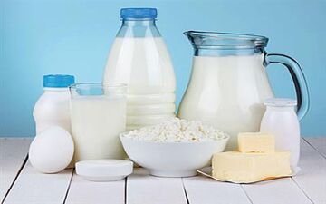 افزایش قیمت شیر و لبنیات منتفی شد