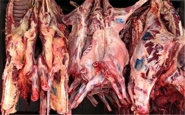 مدیرکل دامپزشکی آذربایجان شرقی: گوشت قرمز بدون مهر دامپزشکی نخرید