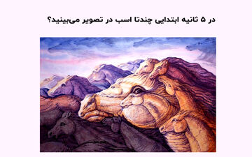 تست شخصیت اسب‌ها | تو ۵ ثانیه ابتدایی چندتا اسب دیدی؟
