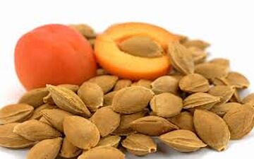 خطرات جبران ناپذیر مصرف هسته زردآلو!
