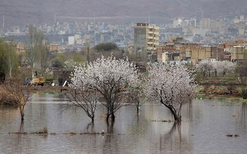 بارش شدید باران در 8 استان کشور/ احتمال وقوع سیل در برخی از شهرها