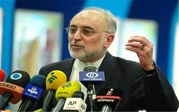 صالحی: بهتر است به برجام متعهد باشیم 