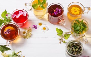 چه دمنوش هایی برای کاهش فشار خون مناسب هستند؟|با دارو گیاهی فشار خودرا کنترل کنید!