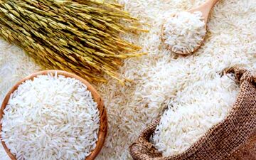 برنج چقدر شد؟ جدیدترین قیمت جدید انواع برنج در میادین میوه و تره بار

